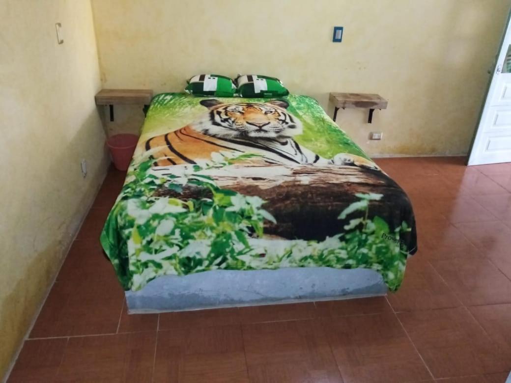 Posada El Montecito Zacatlán エクステリア 写真